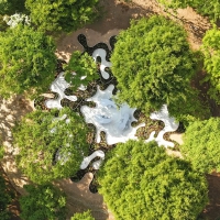 面对极端天气，韧性花园才是温柔的“气候解药”