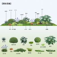 优选资料·阴生植物搭配组合PSD