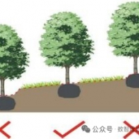 市政景观绿化施工方案