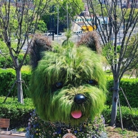5.2米高的“毛茸茸小狗”：一座植物雕塑背后的设计科学