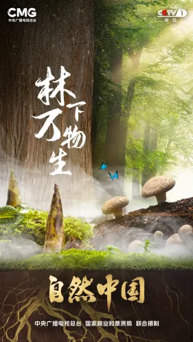 国储林及林下经济项目怎么推进？