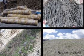 坡面植生毯绿化技术方案