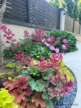 给新手的庭院植物搭配扫盲