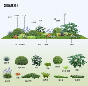 优选资料·阴生植物搭配组合PSD