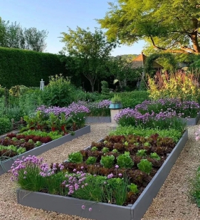 菜园设计指南，简单三步走！