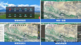 智慧林草“一张图”平台核心技术架构及实战应用研究
