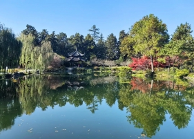 审定品种33个，占全国80%以上，这个团队让观赏草熠熠生辉