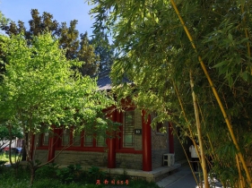 竹子要来抢塑料的生意了：2030年10亿个竹包装，快递行业在下一盘大棋