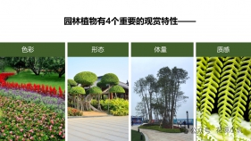 植物质感与形态：解锁园林景观设计的核心密码