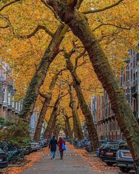 从投资人视角分析零碳园区建设内容与收益来源