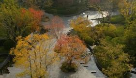 景观设计里，哪些地方“看起来重要，其实可以放一放”