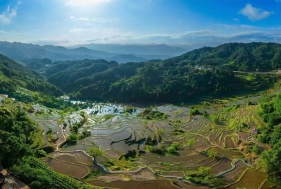 标准引领发展，规范铸就卓越——“十四五”以来全国竹藤标准化技术委员会工作亮点