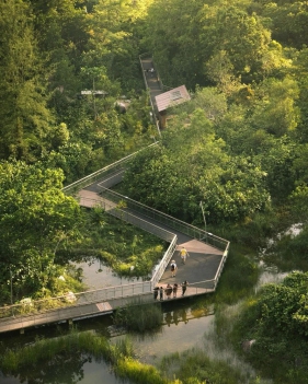 低干预、高协同：Rifle Range Nature Park