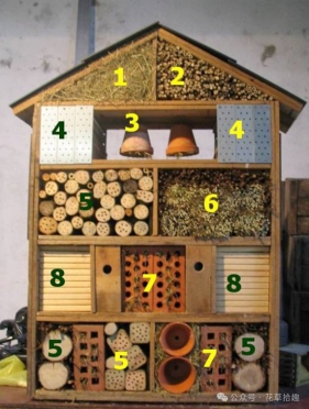 昆虫旅馆：昆虫的避难所，城市里的生物多样性小卫士