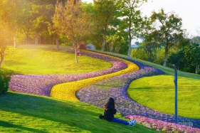 景观设计里的“曲线哲学”：更懂自然的温柔