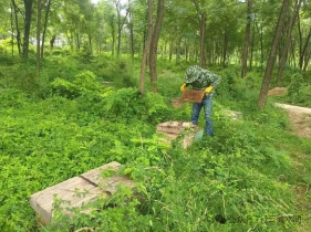 不少林业专家坦言，当下林下经济发展的首要问题是产业链条短、附加值低。多数地方的林