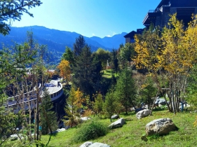 园林植物天际线：绝对性与相对性的造景实操（园林植物第七篇）