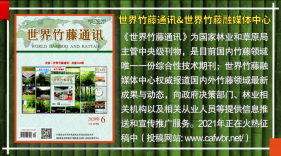 竹藤产业 | 竹产业如何实现突破与创新发展？读完这篇干货满满的文章你就懂了！