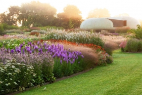 一季一画卷，多年生草甸的四季魅力