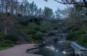 两山理念 绿色答卷 |  山东省林下经济经营利用面积达264万亩，年产值超89亿元