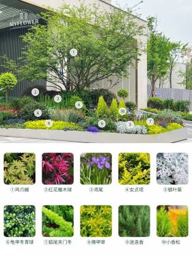 长效低维护花境 |  案例分享（附植物清单）