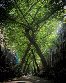 林业农业零碳之道