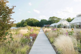 野趣与秩序的平衡，景观与美食共生哲学