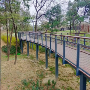 石景山区松林公园冬日管理