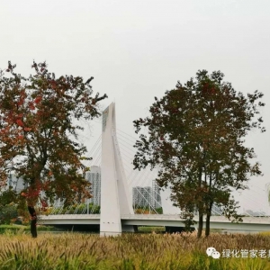 公园运营的一些想法（日常管养与运营1）