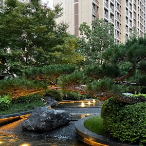 福建首个中药材植物园开园