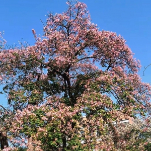 碳排放核算基本功：掌握电力碳排放因子与电力碳足迹因子的区别，争做碳核算明白人 ...