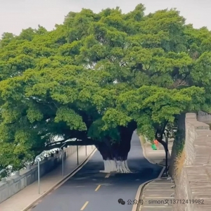 【干货】城市更新项目如何入库？