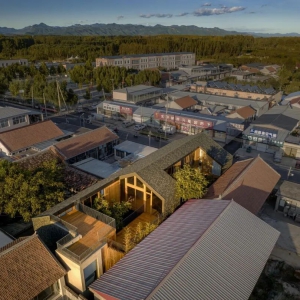 建筑营设计 | 树下的记忆与新生——耒宿