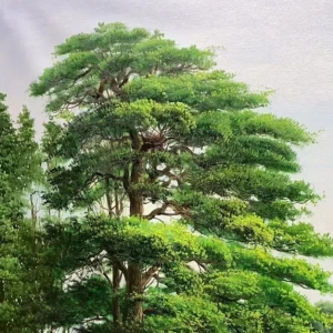 社会资本介入土地综合整治规划融合路径研究