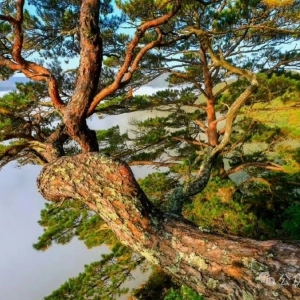 碳市场的MRV机制基础知识，看这一篇就够了