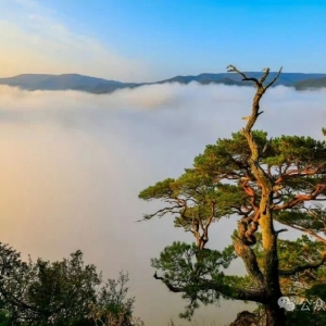 碳专题知识 | （1）碳中和与碳达峰：定义、关系与全球共识