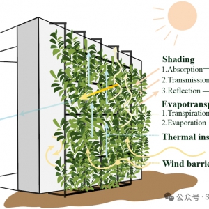 论文 | 建筑垂直绿化系统热效应机制的综述：方法、性能及影响因素 ...