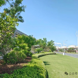 园林绿化全年养护技术汇编：四季守护绿色家园的科学指南