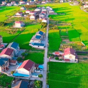 “十五五”时期，如何为乡村全面振兴赋能提速？