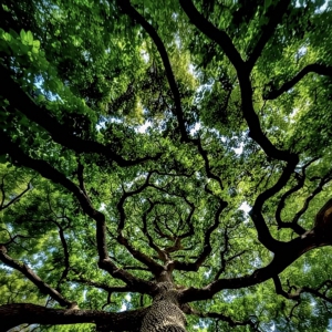 第二届林草碳汇学术研讨会上，专家热议——气候变化下，如何让森林能固碳、韧性强？ ...