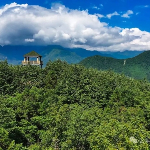 两项绿色重要标准面向全球发布并试点实施