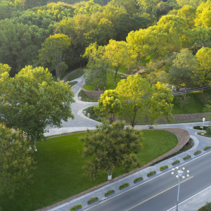 HID作品 | 隐匿的序曲，一场基于生态优先的森林探索旅程—小溪塔森林公园 ...