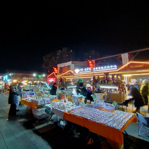 文章精选 | 北京市韧性城市建设的系统路径与规划实践 /石晓冬 等 ...