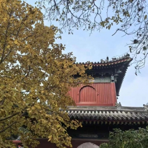 智慧园林“美颜”城市生活