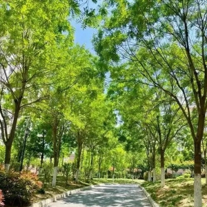 1-6月份园林绿化养护计划