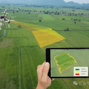 智慧农业未来要怎么干？这份建设指南请查收