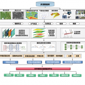 基于多源高分遥感的全链条农业服务模式构建及应用