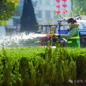 园林树木灌溉与排水的原则