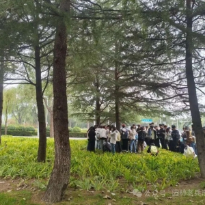 公园运营的一些想法（难点与前景浅议）