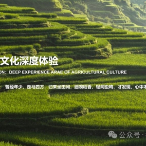 林下经济迎政策东风！8大新政解锁致富密码，林农林企照做就能赚 ...